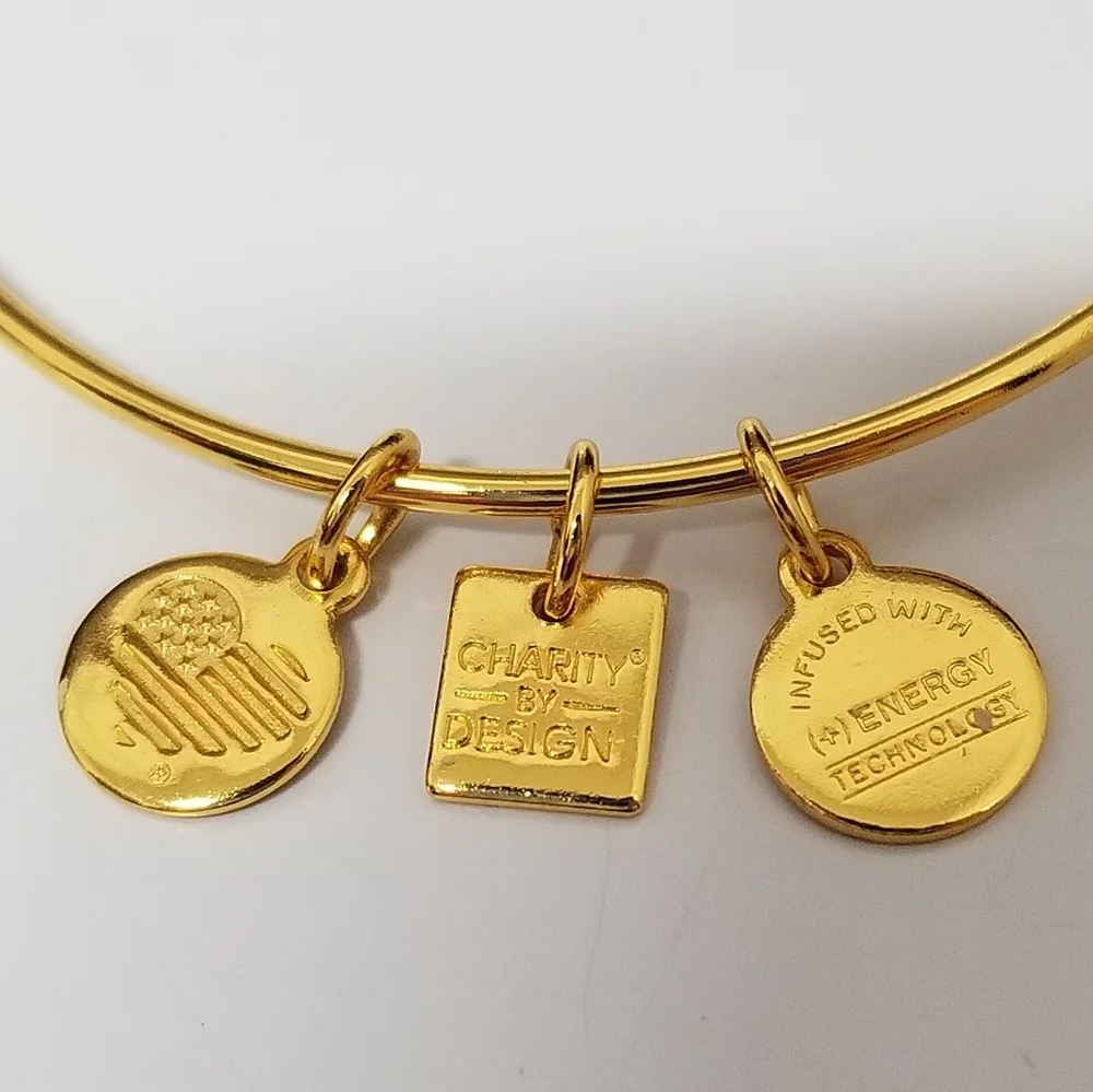 ALEX + ANI Charity by Design 2015 Zest For Life Bangle Bracelet - Picture 5 of 6